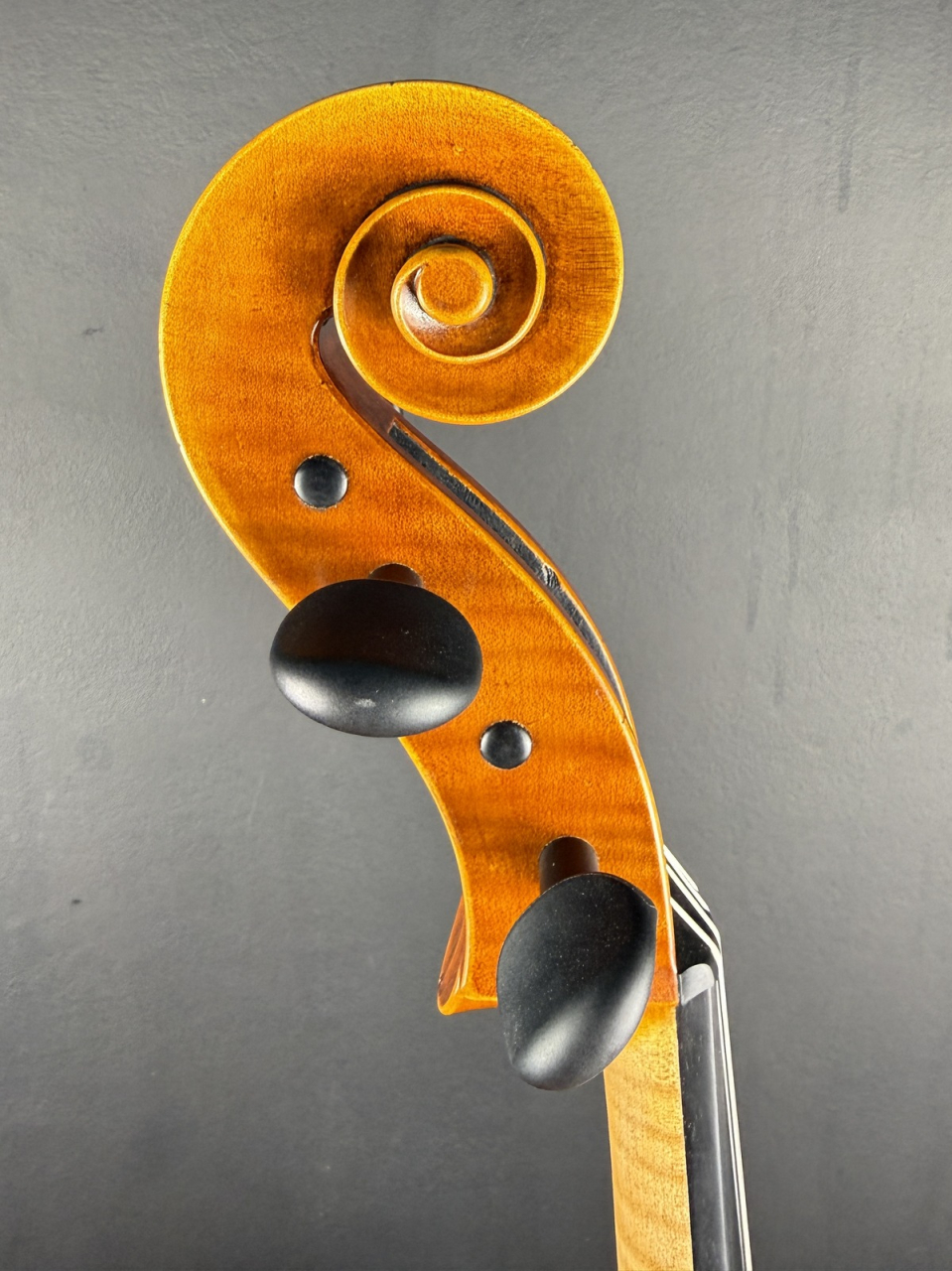 Violoncel de Maestru Mare Vasile Nr. 68 (2025) - Model Stradivari Mic [8]