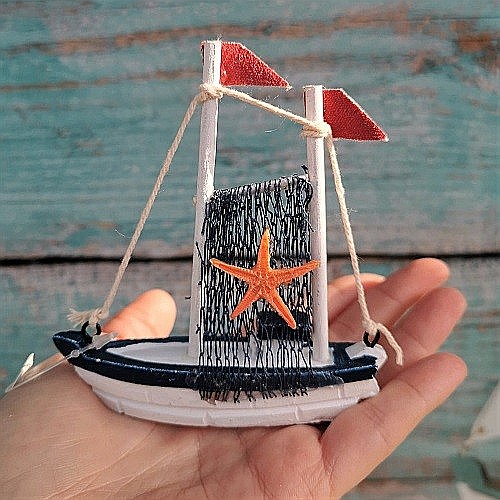 Barcuta cu steluta de mare [2]