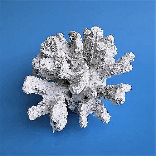 Coral din rasina [3]