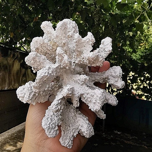 Coral din rasina [6]