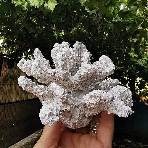 Coral din rasina [5]