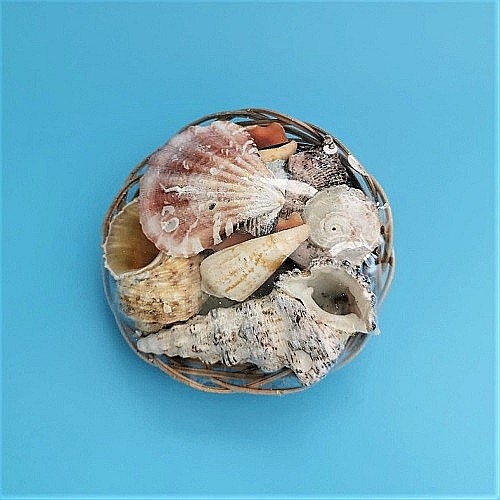 Cosulet mic cu melci si scoici [4]