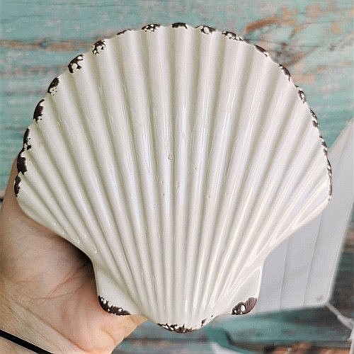 Cutiuta ceramica Scoica [5]