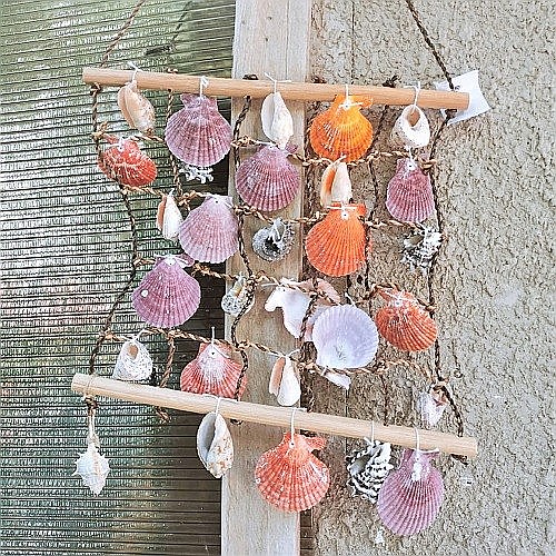 Decoratiune scoici 5 siruri [2]
