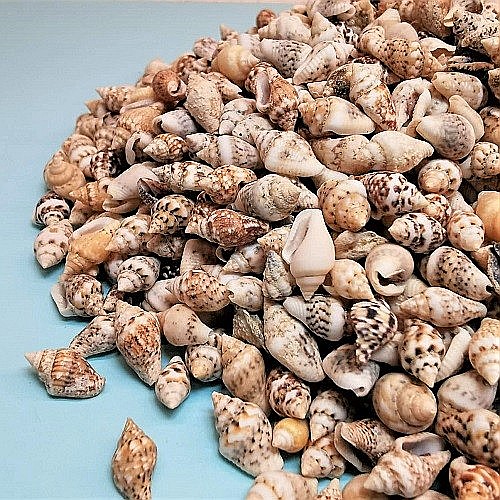 Melci mici crem 100 gr [3]