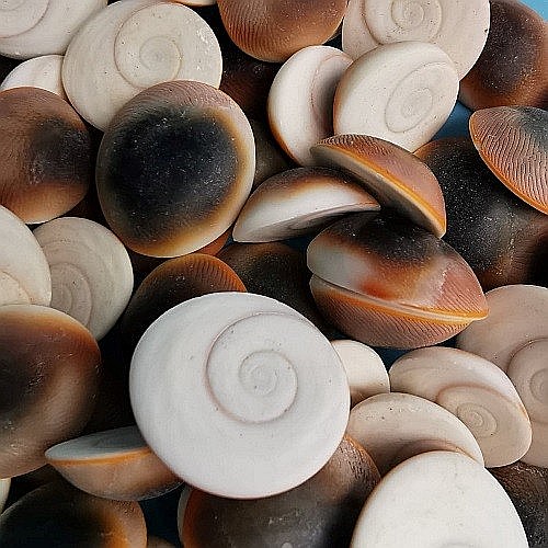 Melci rotunzi 200 gr [2]