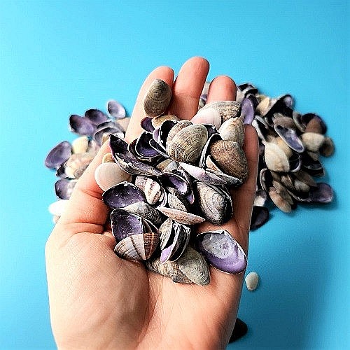 Scoici mici violet 200 gr [4]