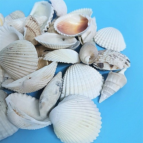 Scoici mixte white 200 g [2]