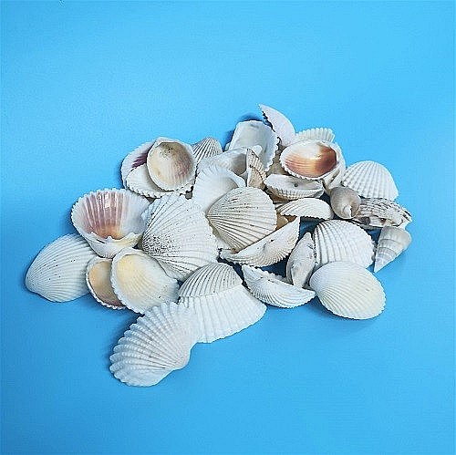 Scoici mixte white 200 g [3]