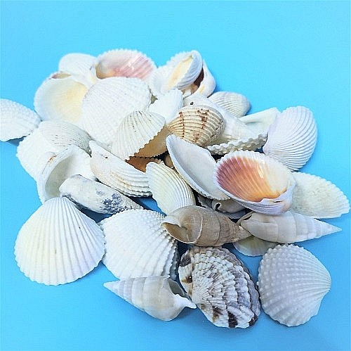 Scoici mixte white 200 g [4]