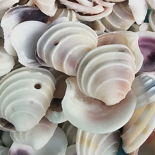 Scoici Venus 200 gr [2]