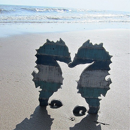 Set 2 Caluti de mare din lemn [3]