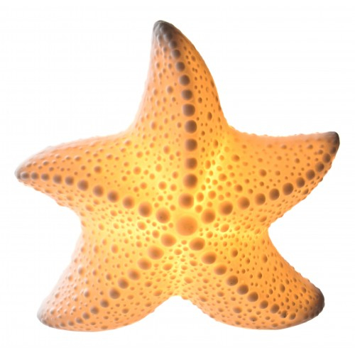 Stea de Mare din Portelan cu Iluminare – 14 x 14 x 7 cm [2]