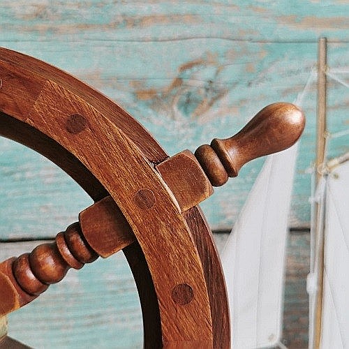 Timona decorativa 40 cm [5]