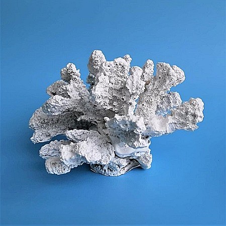 Coral din rasina [3]