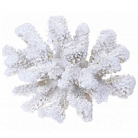 Coral din rasina [0]