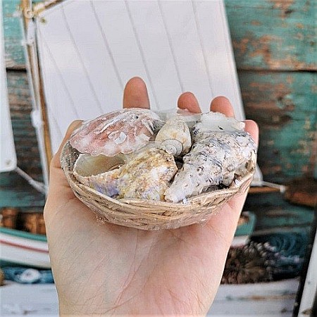 Cosulet mic cu melci si scoici [1]