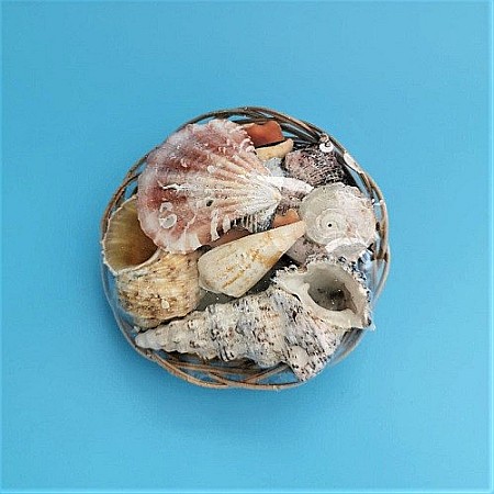 Cosulet mic cu melci si scoici [3]