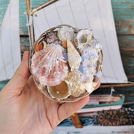 Cosulet mic cu melci si scoici [2]