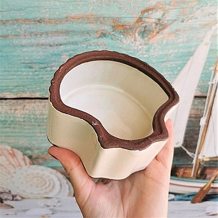 Cutiuta ceramica Scoica [3]