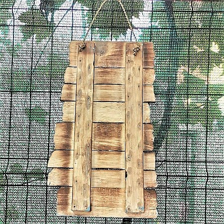 Decoratiune Beach Paradise [5]