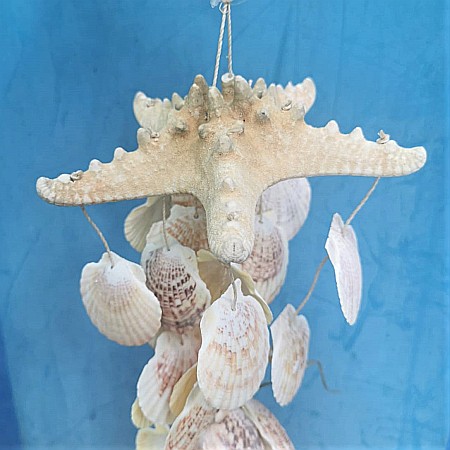 Decoratiune stea de mare si scoici [2]