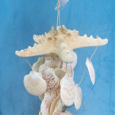 Decoratiune stea de mare si scoici [1]