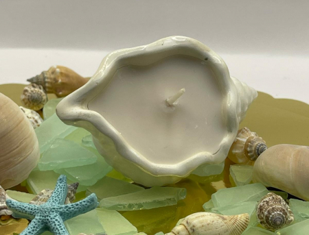 Lumânare din ceară de soia ecologică în forma de cochilie de melc [3]