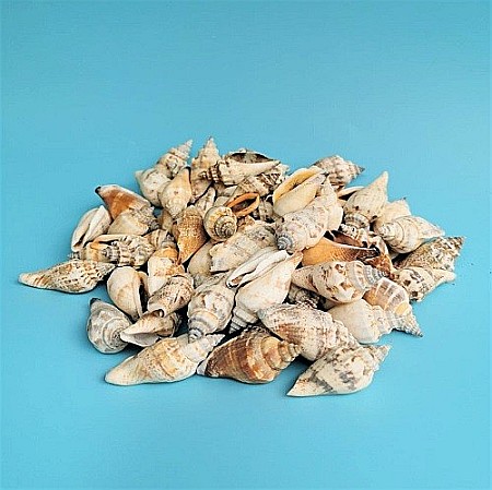 Melci Coji 200 gr [0]