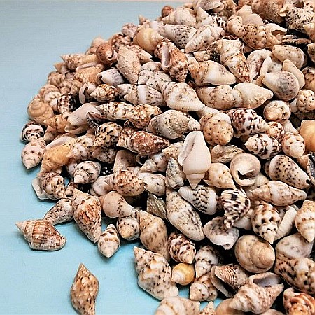 Melci mici crem 100 gr [2]