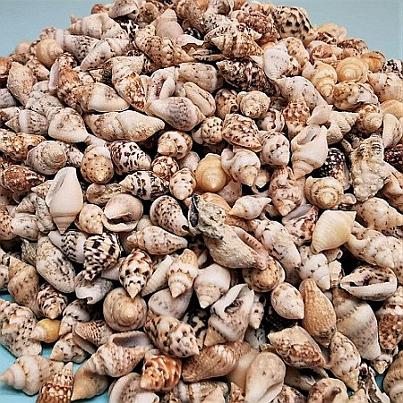 Melci mici crem 100 gr [3]