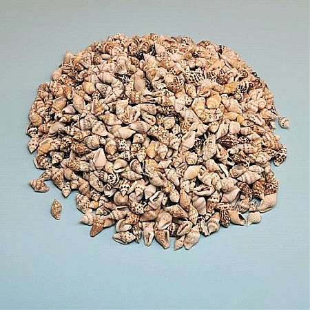 Melci mici crem 100 gr [0]