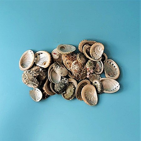 Scoici Abalone mici 200 gr [0]