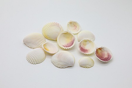 SCOICI CU TENTA ROSE 200 GR [1]