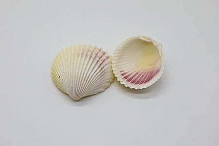 SCOICI CU TENTA ROSE 200 GR [0]