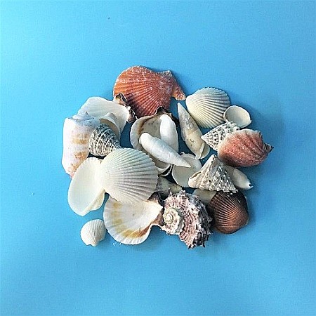 Scoici mixte 200 g [2]