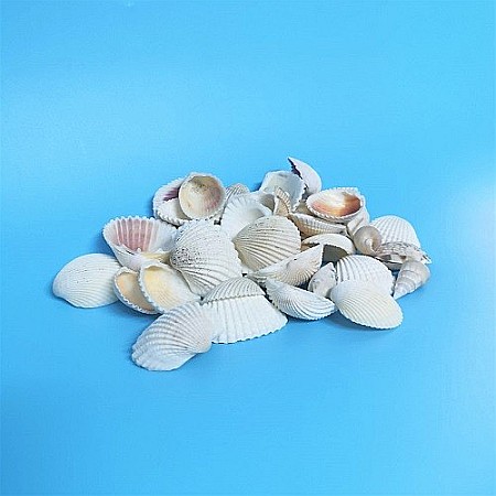 Scoici mixte white 200 g [0]