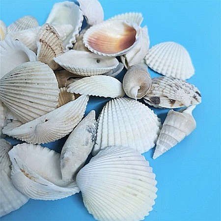 Scoici mixte white 200 g [1]