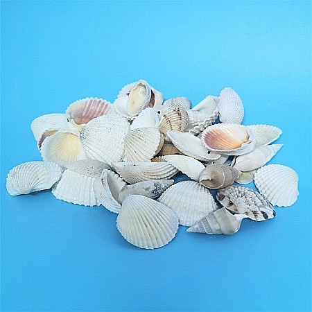 Scoici mixte white 200 g [4]