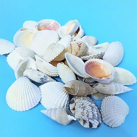 Scoici mixte white 200 g [3]