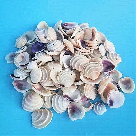 Melci si scoici - Scoici Venus 200 gr