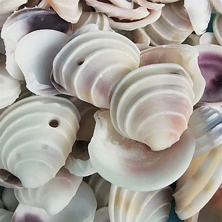 Scoici Venus 200 gr [1]