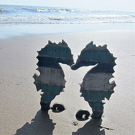 Set 2 Caluti de mare din lemn [2]