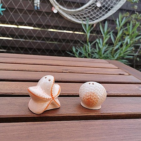 Set solnite sare si piper Shell [1]