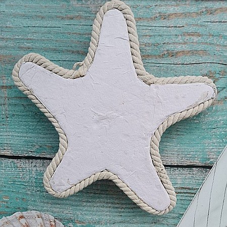 Stea de mare cu scoici [5]