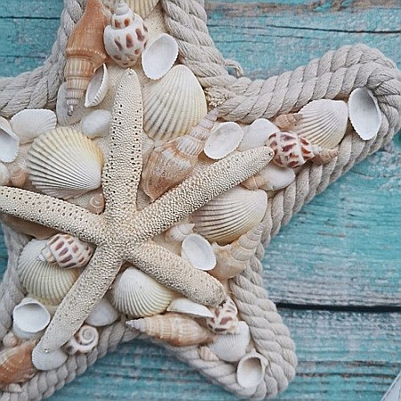 Stea de mare cu scoici [3]