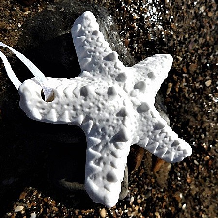 Melci si scoici - Stea de mare din portelan