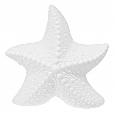 ILUMINAT - Stea de Mare din Portelan cu Iluminare – 14 x 14 x 7 cm