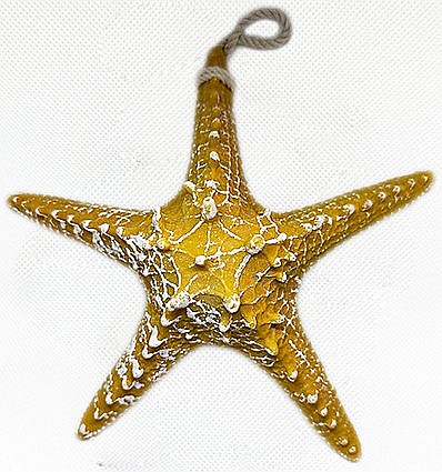 Stea de mare din rasina culoare galben [0]