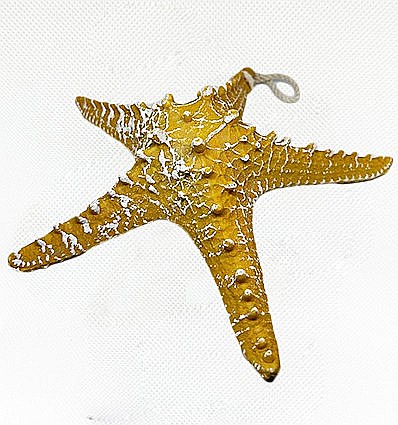 Stea de mare din rasina culoare galben [1]